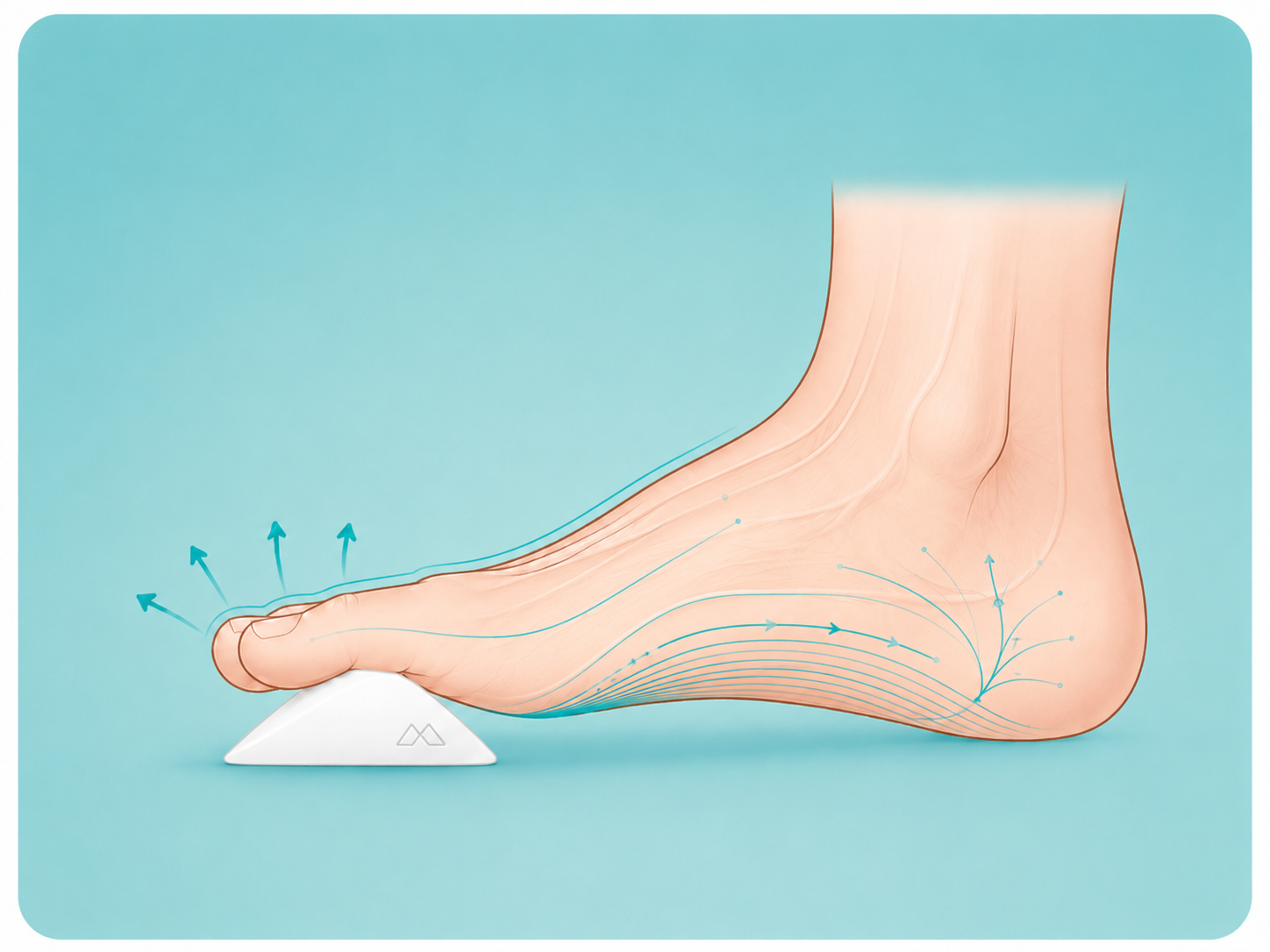 Side view of a foot with a Squedgie wedge placed under the toes, showing upward lift through the forefoot.